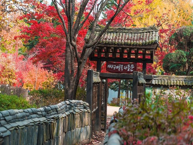 KHÁM PHÁ XỨ SỞ KIM CHI: HÀ NỘI - SEOUL - NAMI - NAMSAN TOWER - KBS - 3D - BẢO TÀNG ĐÁ TUYẾT