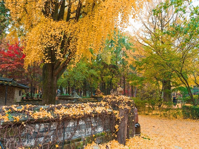Top 20 địa điểm du lịch - cảnh đẹp mê hoặc lòng người tại Hàn Quốc