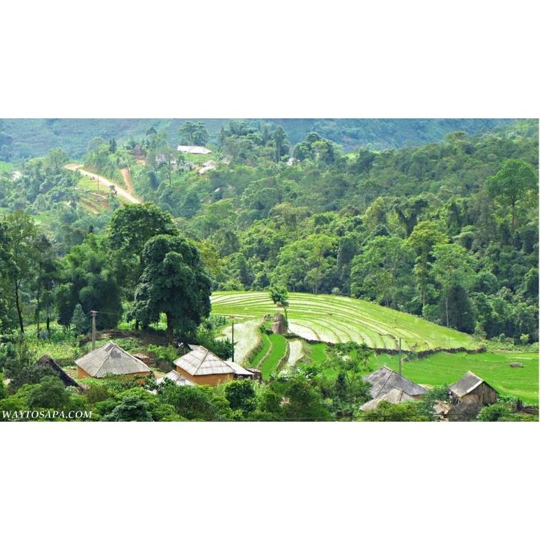Experience Sapa Homestay 3 days 4 nights