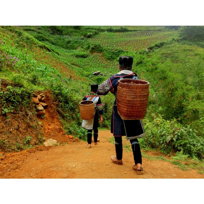Experience Sapa Homestay 3 days 4 nights