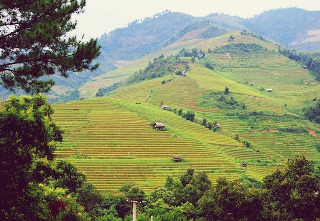 Tour Hà Giang: Mù Cang Chải - Khau Pha - Tú lệ - Mường Than 2 Ngày 1 Đêm