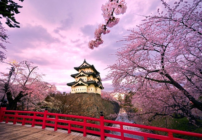 DU LỊCH NHẬT BẢN: TOKYO - KAWAGUCHI - NÚI PHÚ SĨ - KAMAKURA - YOKOHAMA - TOKYO
