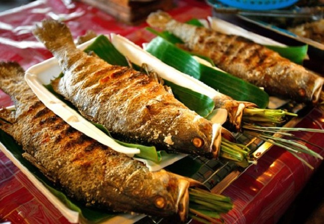 DU LỊCH TÂY BẮC: NGHĨA LỘ - MÙ CANG CHẢI - TÚ LỆ