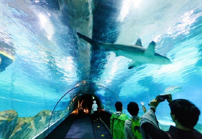 Du Lịch Hàn Quốc: Hà Nội - Seoul - Đảo Nami - Everland - Công viên Yeoudo 5 Ngày 4 Đêm Vietjet