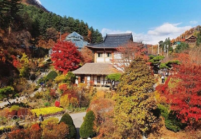 DU LỊCH HÀN QUỐC TẾT DƯƠNG LỊCH 2018: SEOUL – NAMI – LOTTE WORLD VÀ KHU TRƯỢT TUYẾT YANJIPINE