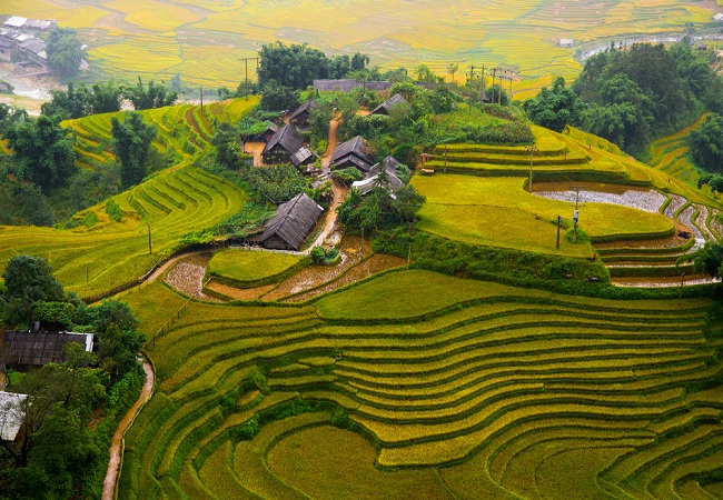 CÁT CÁT – HÀM RỒNG – THÁC BẠC – CÁP TREO FANSIPAN