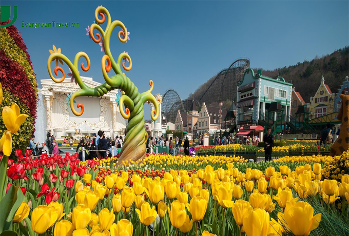 HÀ NỘI – SEOUL – NAM MI – EVERLAND