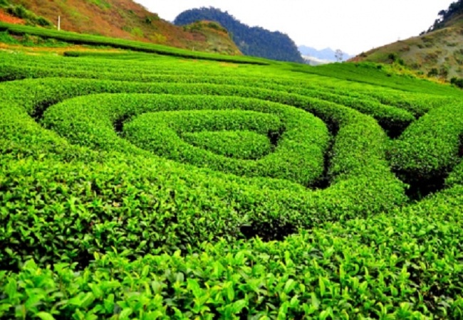 TOUR DU LỊCH MAI CHÂU - BẢN LÁC NGỦ NHÀ SÀN