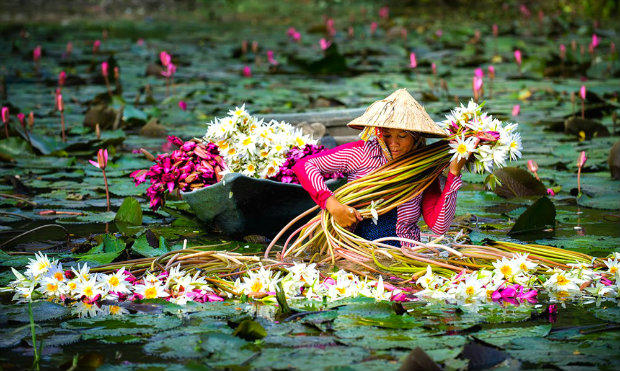 KHÁM PHÁ SÔNG NƯỚC MIỀN TÂY: CẦN THƠ – SÓC TRĂNG – BẠC LIÊU – CÀ MAU – ĐẤT MŨI – CHÂU ĐỐC – CẦN THƠ