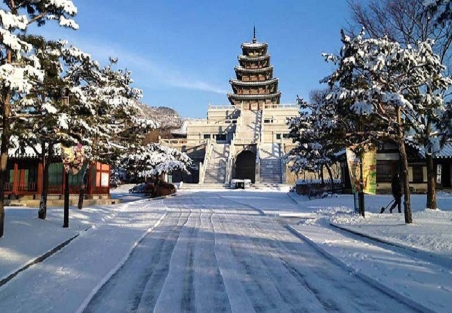 Tour Du lịch Mùa Xuân Hàn Quốc GIÁ SHOCK: Hà Nội - Seoul - Đảo Nami - Công viên Everland 5 Ngày 4 Đêm bay Air Macau 2018