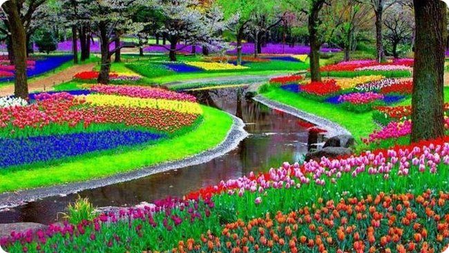 DU LỊCH NHẬT BẢN: TOKYO - KAWAGUCHI - NÚI PHÚ SĨ - KAMAKURA - YOKOHAMA - TOKYO