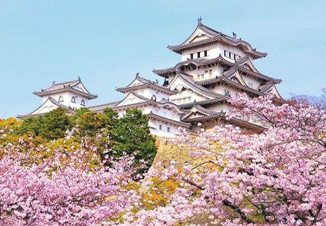 DU LỊCH NHẬT BẢN: TOKYO - KAWAGUCHI - NÚI PHÚ SĨ - KAMAKURA - YOKOHAMA - TOKYO