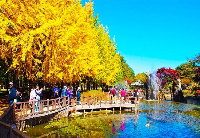 CHƯƠNG TRÌNH CHARTER ĐẶC BIỆT MUAN - SEOUL – ĐẢO NAMI HANG ĐỘNG GWANGMYEONG - CÔNG VIÊN EVERLAND