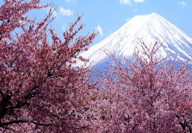 DU LỊCH NHẬT BẢN: TOKYO - KAWAGUCHI - NÚI PHÚ SĨ - KAMAKURA - YOKOHAMA - TOKYO