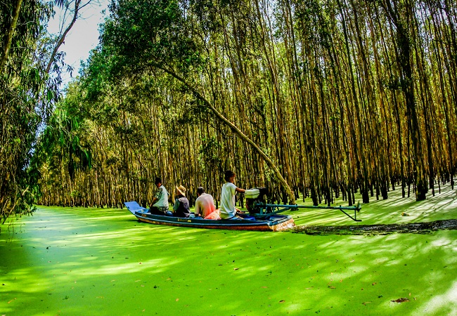 DU LỊCH TÂY NINH - MỸ THO - CẦN THƠ - SÓC TRĂNG - BẠC LIÊU - CÀ MAU - VŨNG TÀU - KHU DU LỊCH ĐẠI NAM
