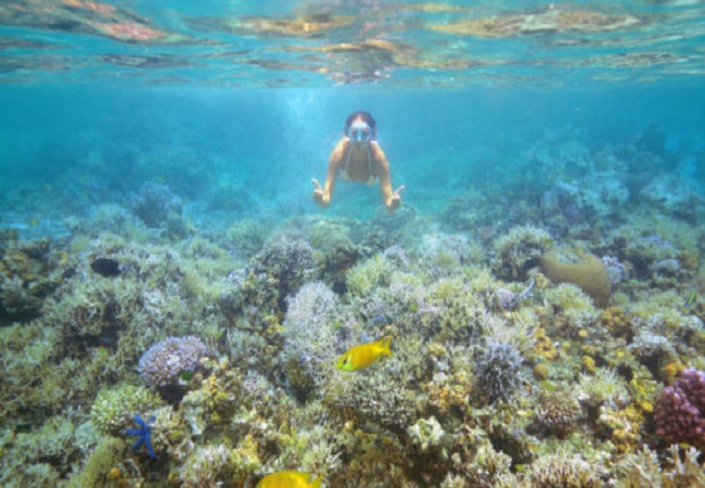 Tour du lịch Nha Trang - Phú Yên - Đà Lạt 5 ngày