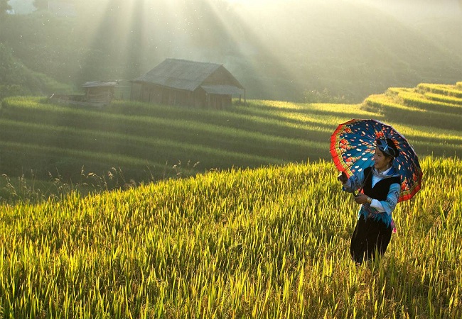 Tour Du lịch Hà Nội - Sa Pa - Cát Cát - Hàm Rồng - Fanxipan 3 Ngày 2 Đêm 2018