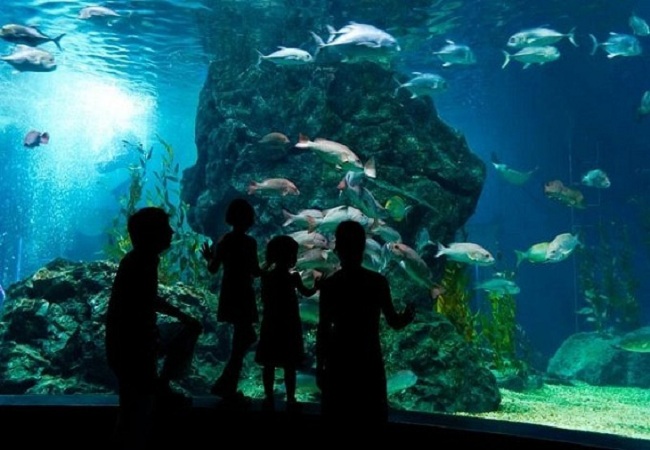 Tour Du lịch Mùa Xuân Hàn Quốc GIÁ SHOCK: Hà Nội - Seoul - Đảo Nami - Công viên Everland 5 Ngày 4 Đêm bay Air Macau 2018