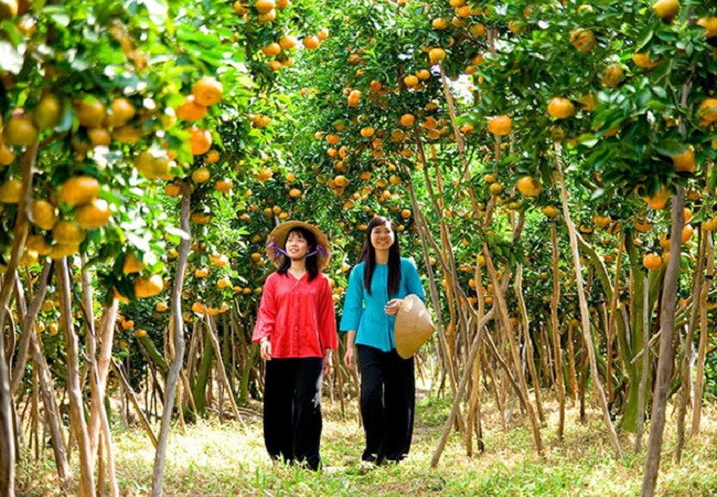 DU LỊCH PHÚ QUỐC - RẠCH GIÁ - CÀ MAU - BẠC LIÊU - SÓC TRĂNG - CẦN THƠ - MỸ THO - TP. HỒ CHÍ MINH - KDL. ĐẠI NAM