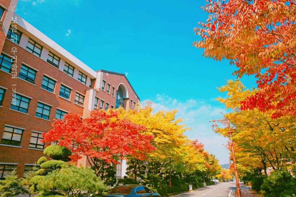 ĐẠI HỌC NAMSEOUL - Ika Việt Nam