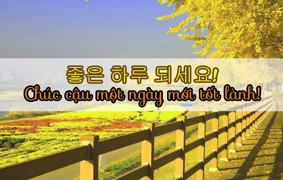 Những câu nói tiếng Hàn hay trong cuộc sống nhất định bạn phải biết - Ika  Việt Nam
