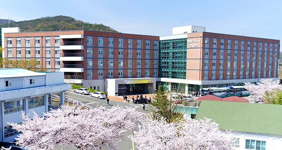 ĐẠI HỌC DAEGU HAANY