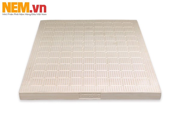 Nệm cao su mang nhiều ưu điểm cho giấc ngủ ngon