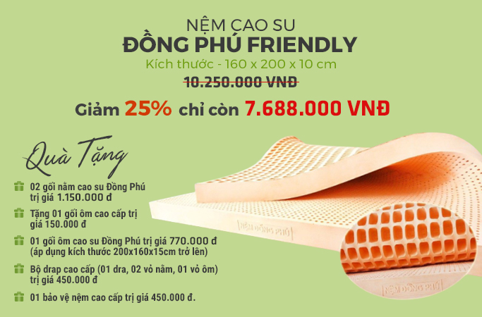 NỆM CAO SU ĐỒNG PHÚ FRIENDLY