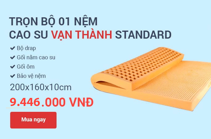 NỆM CAO SU THIÊN NHIÊN VẠN THÀNH - STANDARD