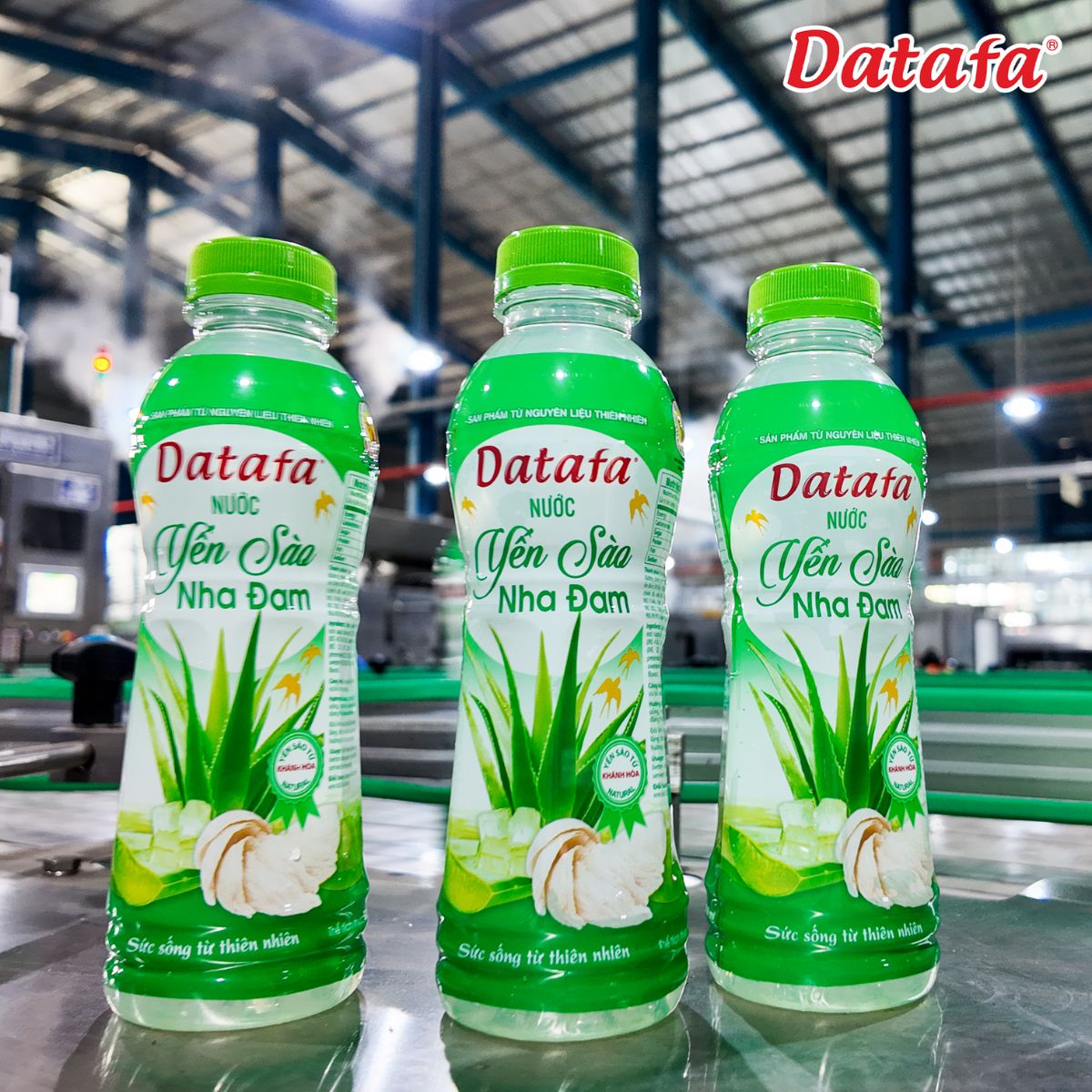 Nước Yến Sào Nha Đam Tuyệt Phẩm Giải Khát Bồi Bổ Sức Khỏe Toàn Diện