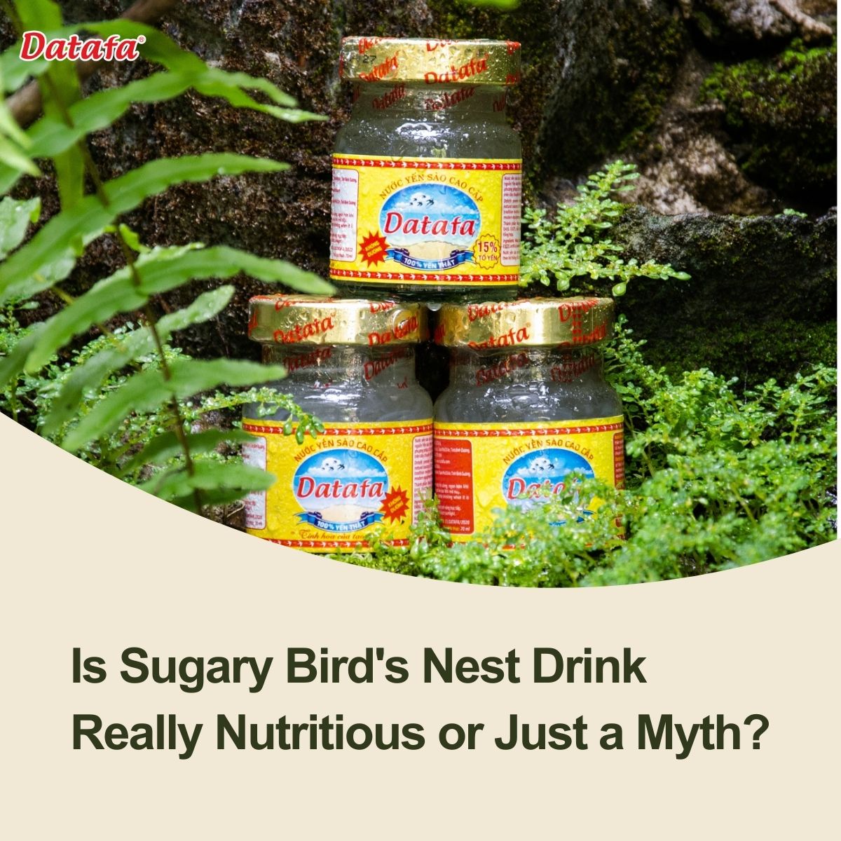 Is Sugary Bird's Nest Drink Really Nutritious or Just a Myth?