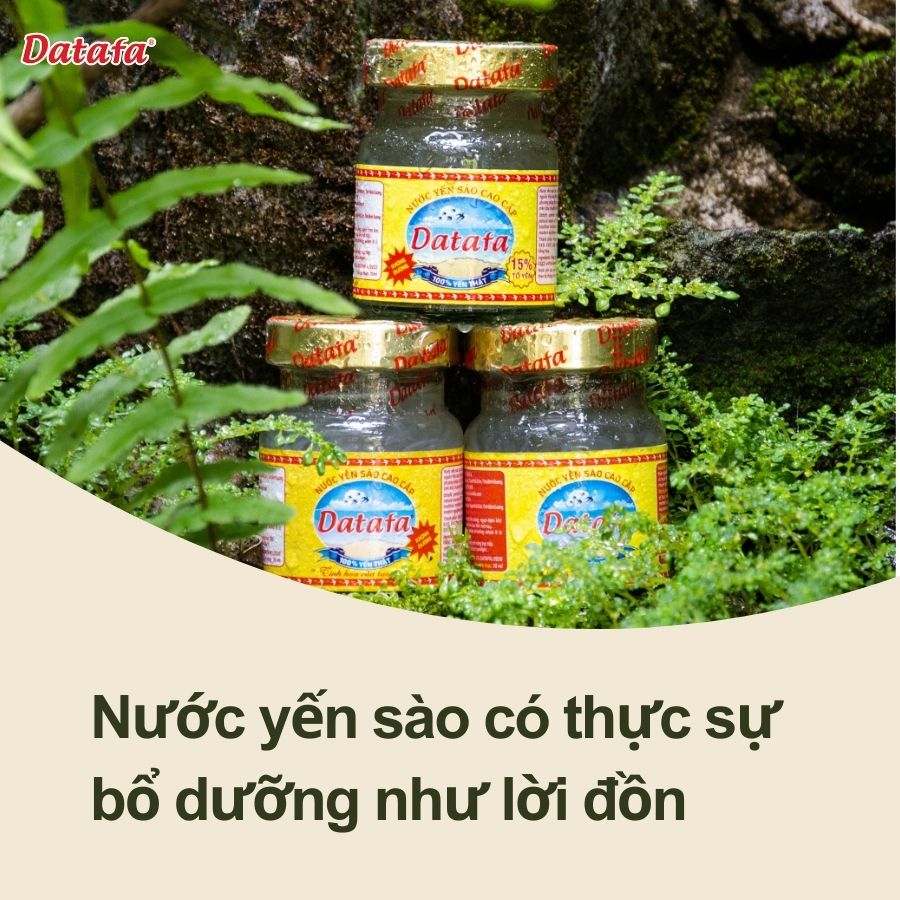 Nước Yến Sào Có Thực Sự Bổ Dưỡng Hay Chỉ Là Lời Đồn?