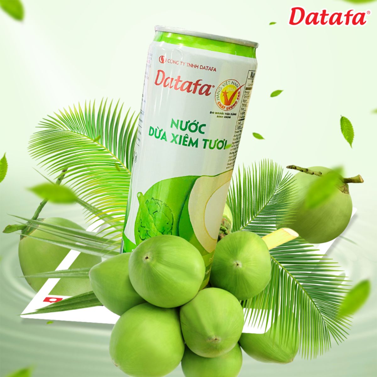 Datafa's Young Siamese Coconut Water Instant Hydration & Electrolyte Replenishment