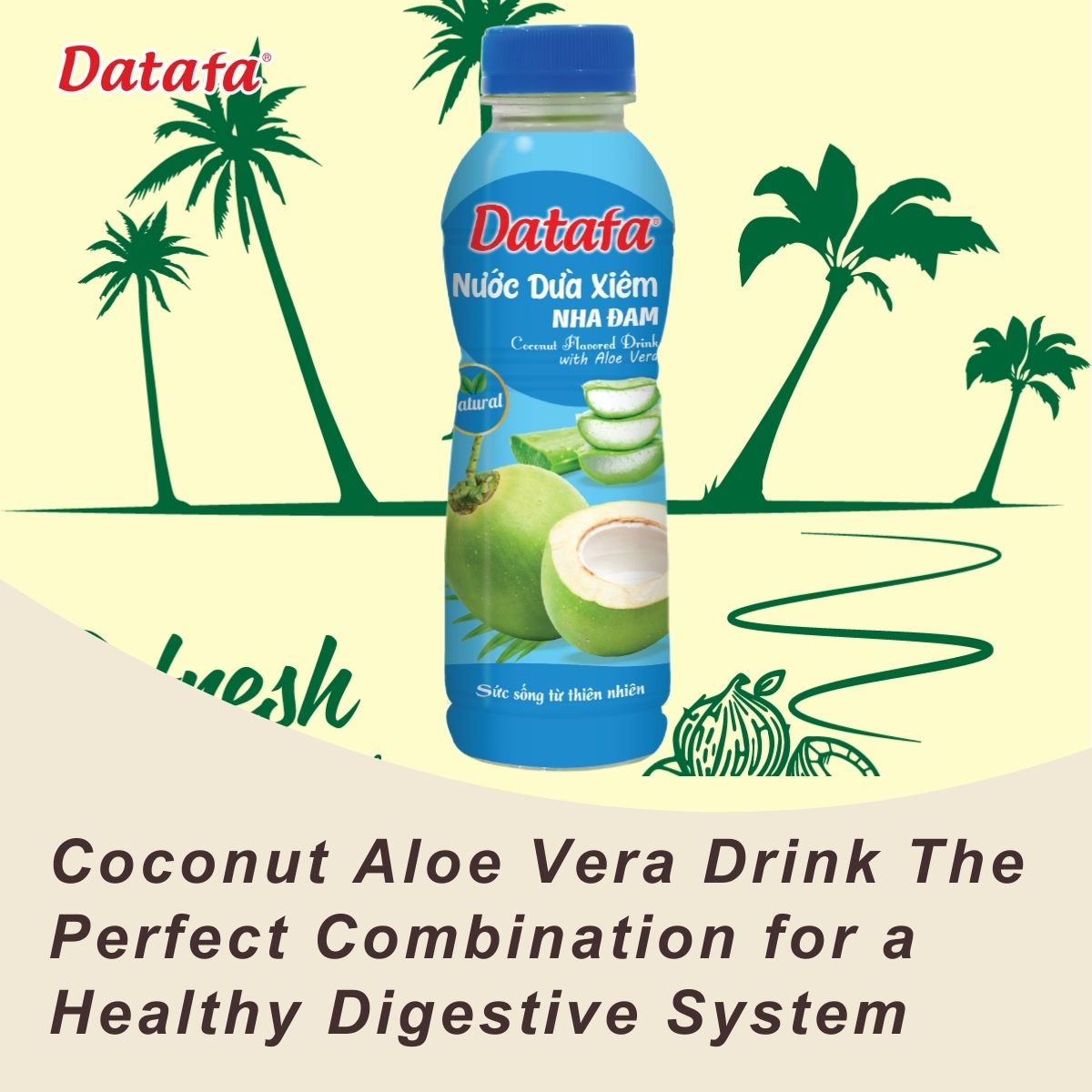 Coconut Aloe Vera Drink The Perfect Combination for a Healthy Digestive System