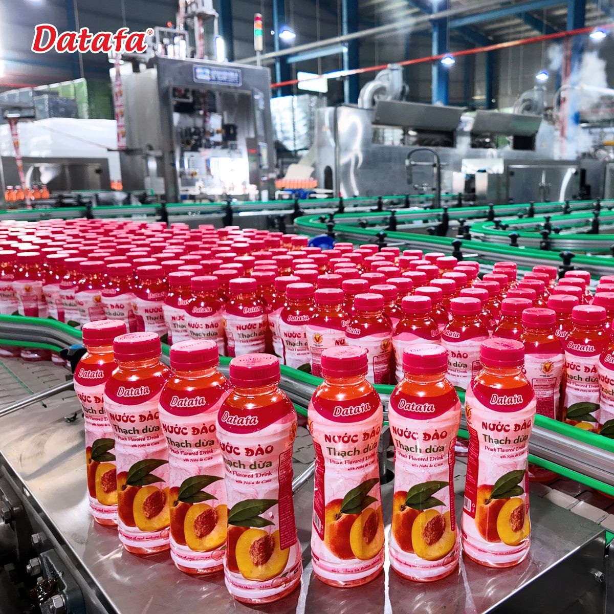 Nước Đào Thạch Dừa Thức Uống Lý Tưởng Tăng Năng Lượng Cho Dân Văn Phòng