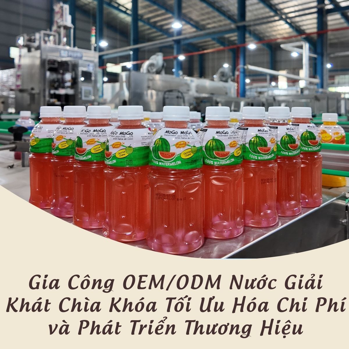 Gia Công OEM/ODM Nước Giải Khát Chìa Khóa Tối Ưu Hóa Chi Phí và Phát Triển Thương Hiệu