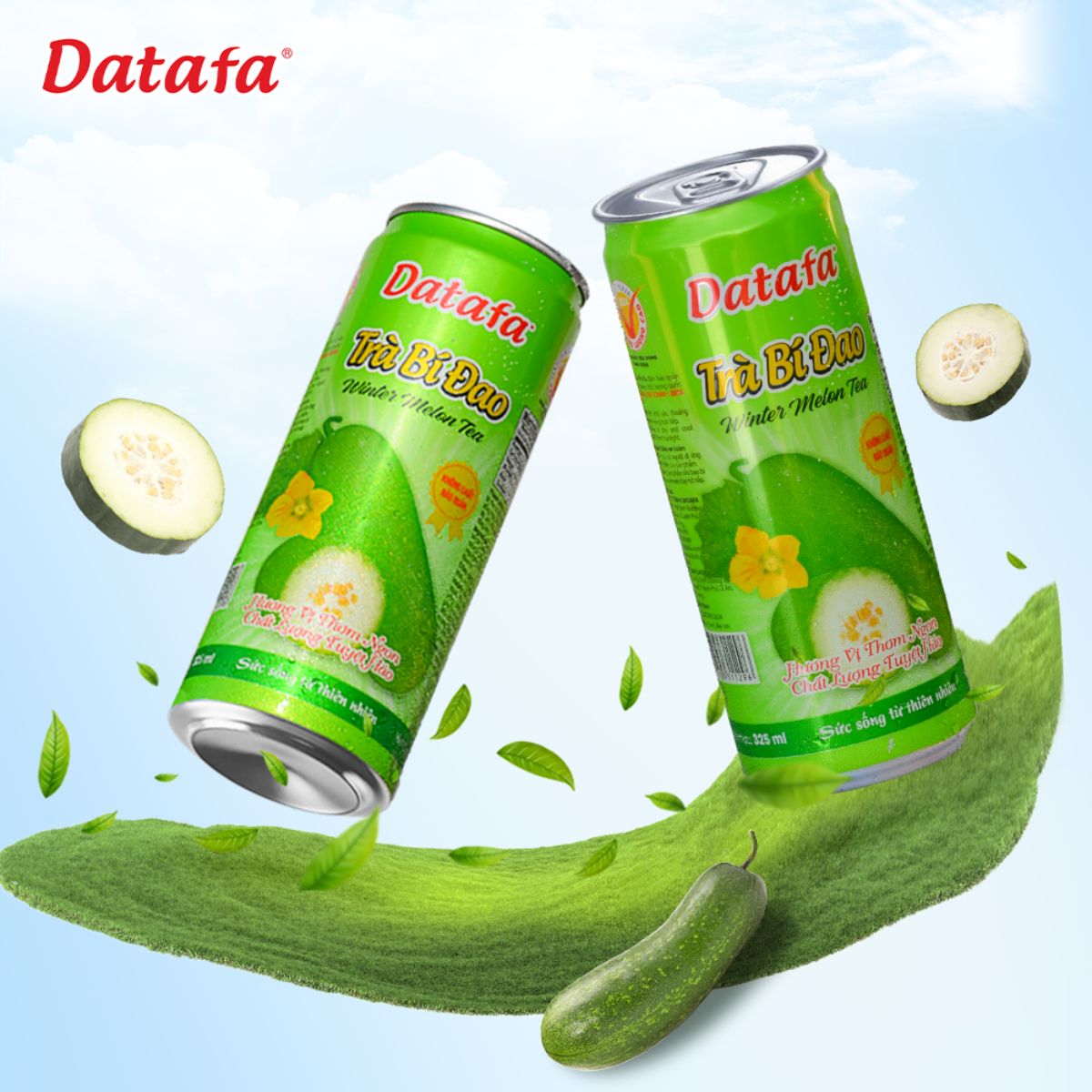 Trà Bí Đao Thức Uống Thanh Nhiệt Cho Cả 4 Mùa Và Lợi Ích Giải Độc