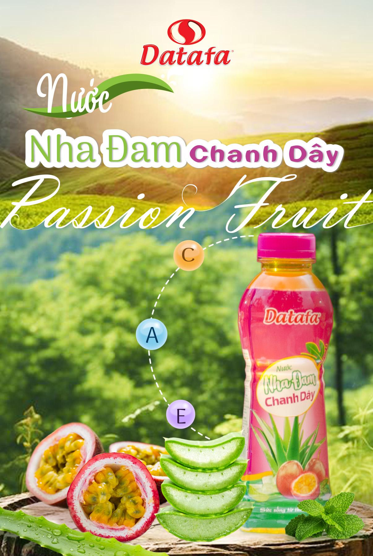 GÍA TRỊ CỦA NƯỚC GIẢI KHÁT NHA ĐAM CHANH DÂY