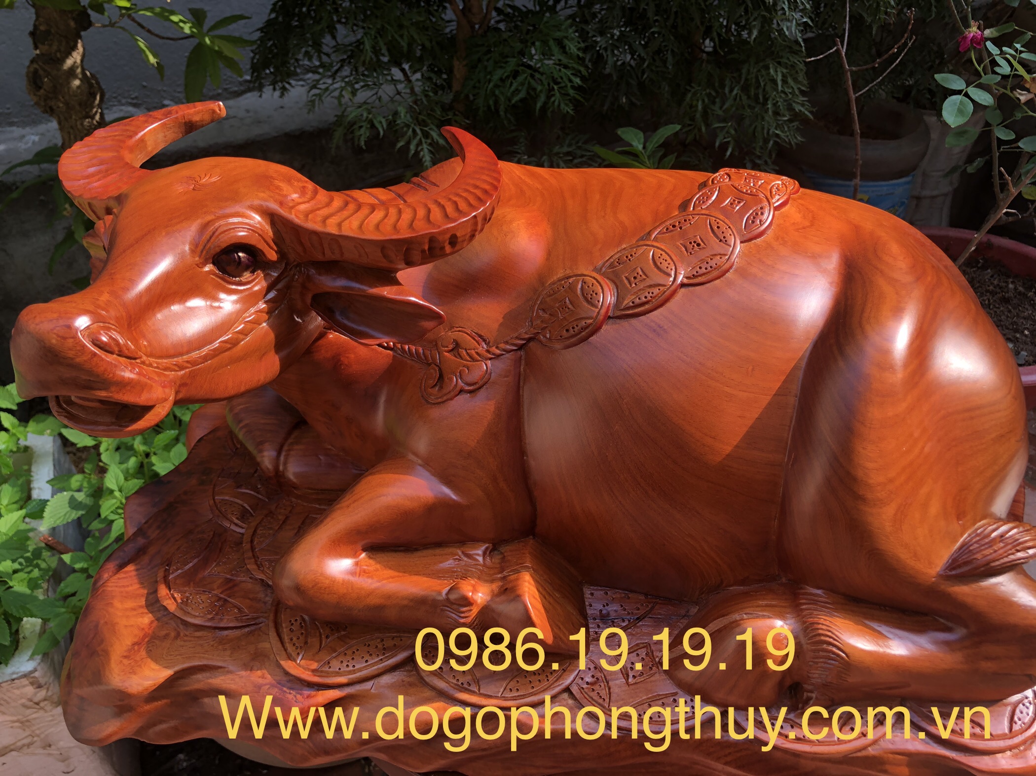 7. Lưu ý khi chọn mua & sử dụng