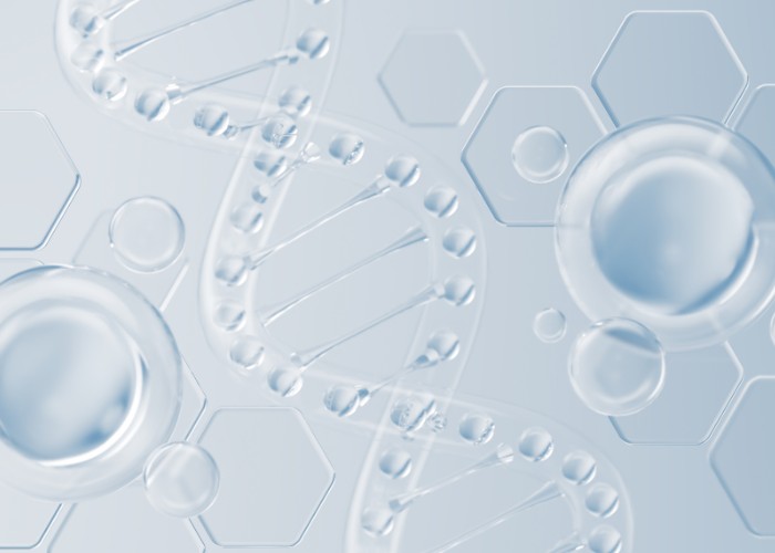 collagentripeptide