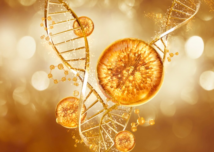 collagen-thuy-phan