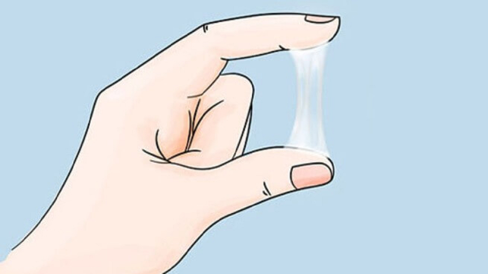 Cách tính ngày rụng trứng để sinh con trai