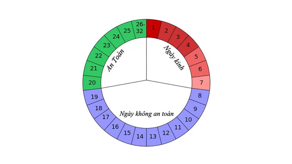 Cách tính ngày rụng trứng để sinh con trai