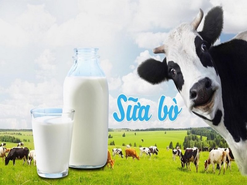 Sữa hạt và sữa bò loại nào tốt hơn​