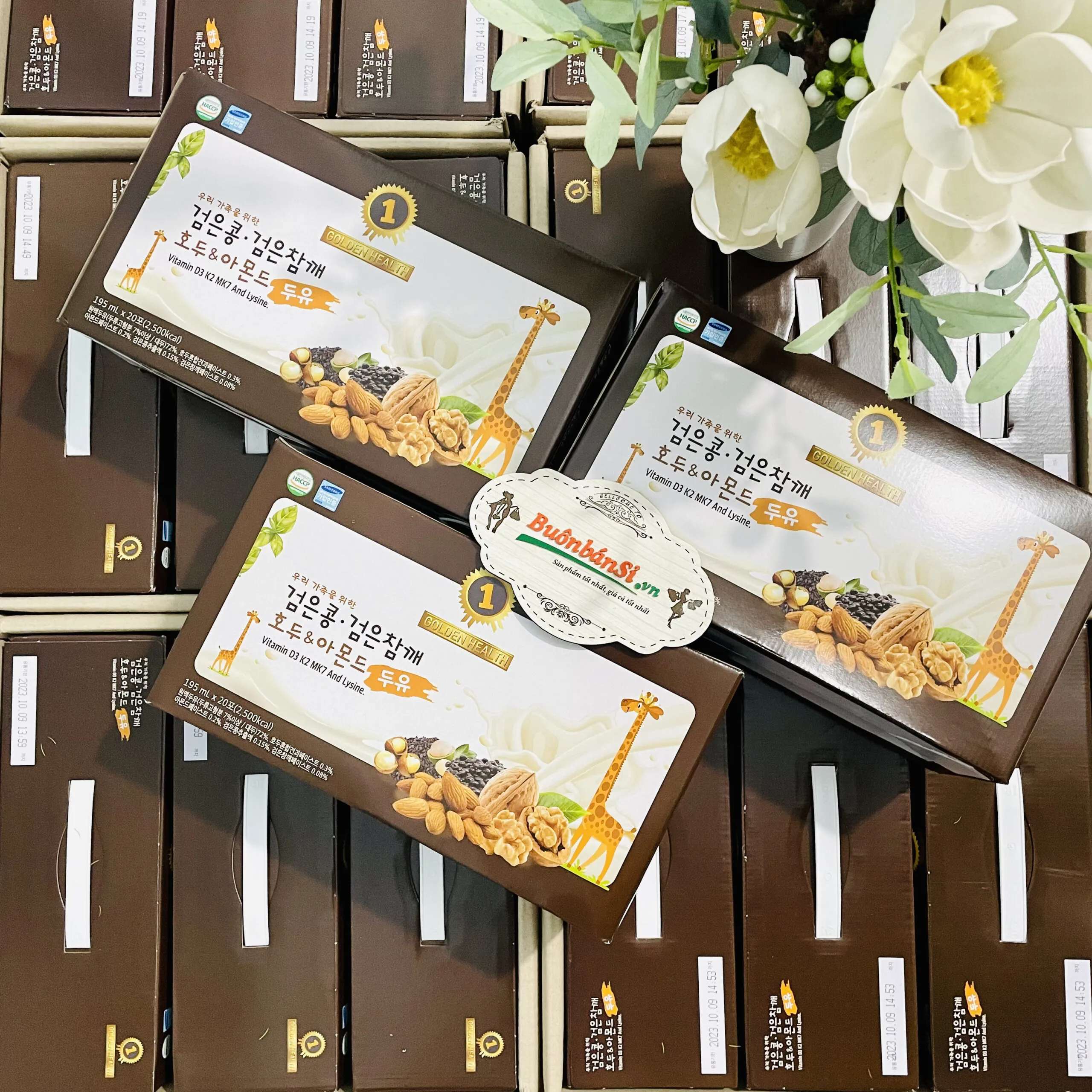  Giá sữa óc chó hạnh nhân đậu đen hàn quốc 