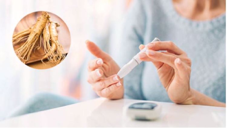 Hồng sâm cho người tiểu đường