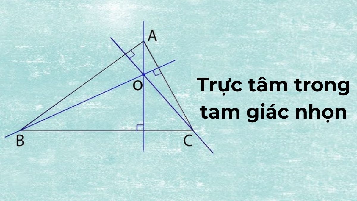 trực tâm là gì