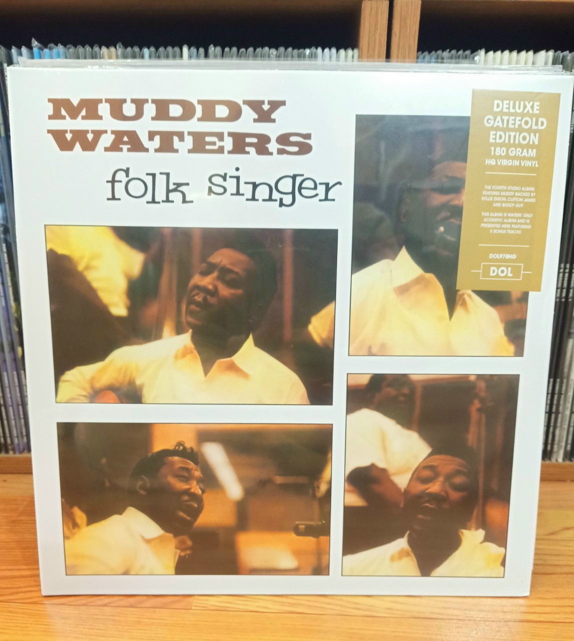 dia-than-muddy-waters-folk-singer