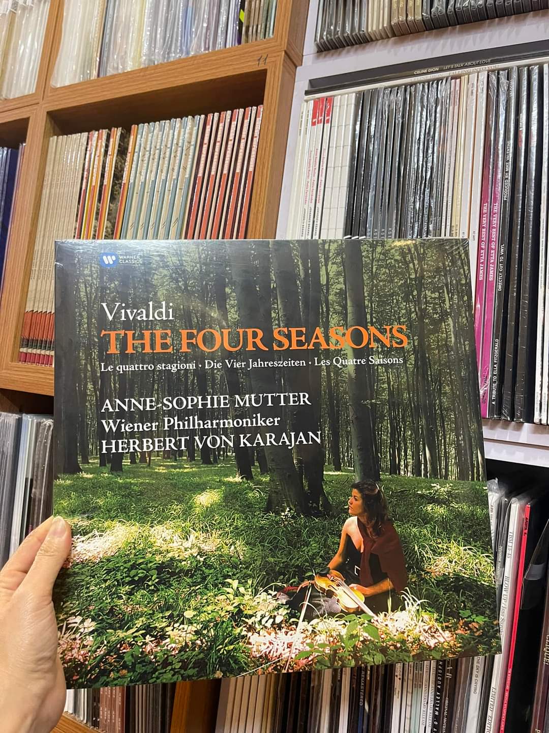 dia-tha-vivadi-the-four-seasons