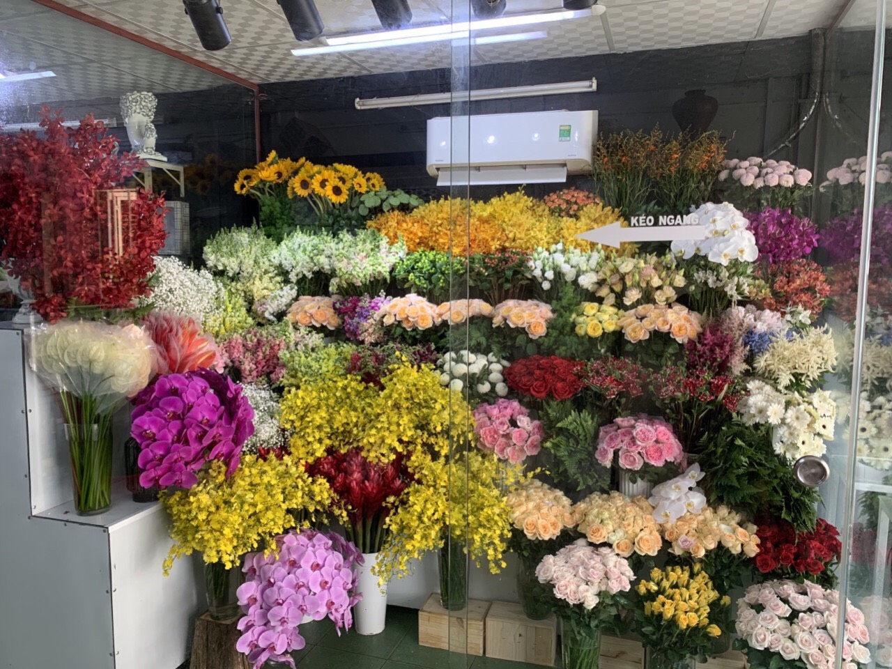 <strong>Shop Hoa Tươi Châu Đức</strong> Nơi tìm kiếm những bông hoa tươi đẹp nhất